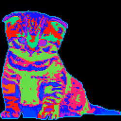 Kitty #18