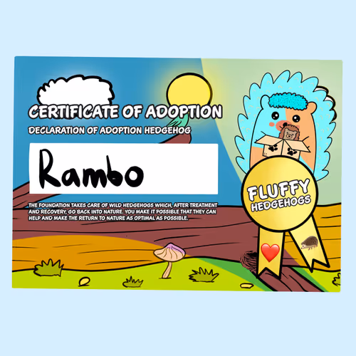 Item #82568299303928421953913761626182899451350454358972335949111842511436663226369 Media