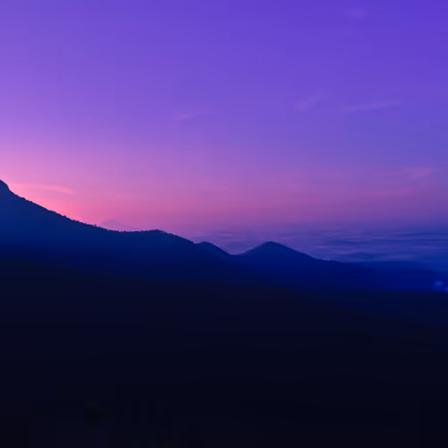 Purple Hues