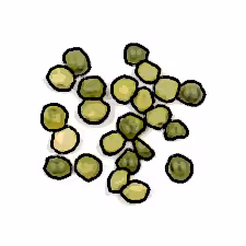 Item #34666895870601966959428909364201480816502352968282215999761892547529858351105 Media