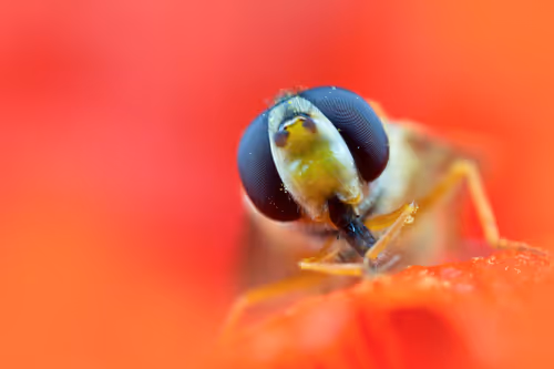 Item #11893448461842202167923125391346137616384292588036434545660885504569726992385 Media