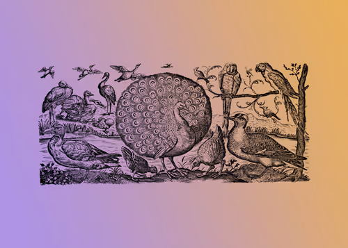 Item #98452652739139728385833177139880784176422420203299536309471942793203913064449 Media