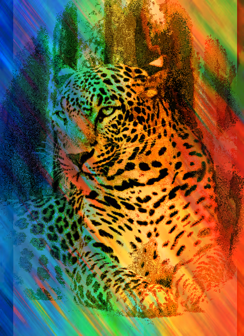 Item #112706814490930413132795555787302569515543672113453404084317514439216141959169 Media