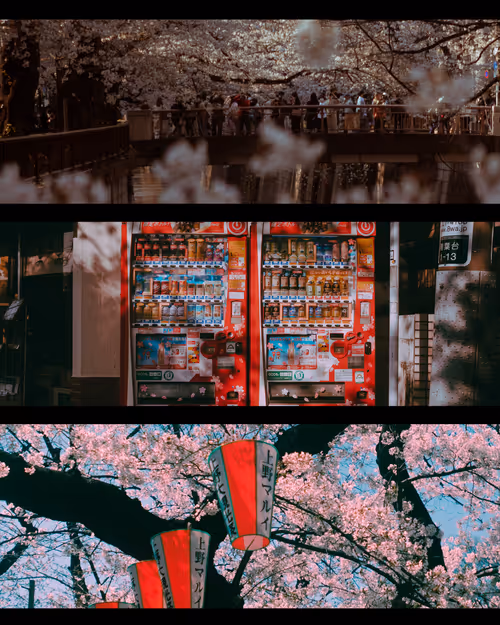 Item #96599056969813892104353962931903654795432609941709159220094717557095658422273 Media