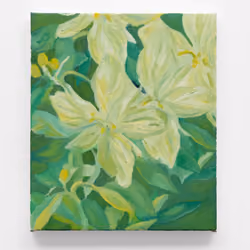 Garden Flower