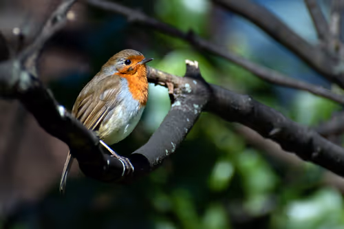 Item #5699665208779024996683959059412281030737296193224804872429037341748261552129 Media