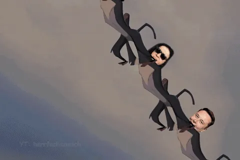 DOGE TO THE MOON (The Lion King Meme)