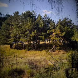 Somewhere in Ukraine #004