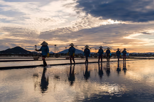 Item #44380994338133063636427405274069008736849147253072084515634940303010909126657 Media