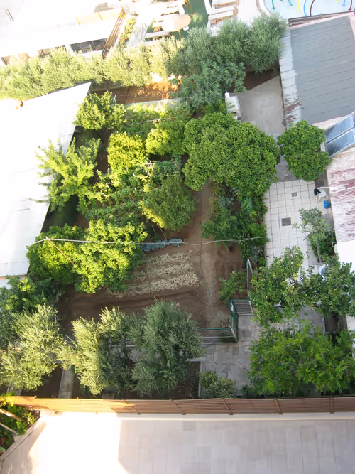 Item #49780404214023394125628081485635193078207366864253774489702248314713961136129 Media