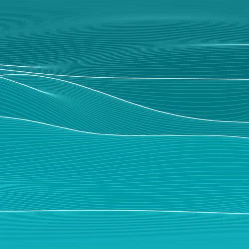 Fluctuation 0542