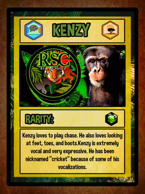 Item #23677228693604097603169999339602269095537618386014397005573117032864289914883 Media