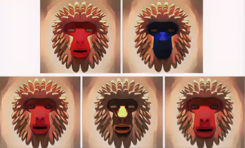 Item #40112458294907170385992949965834381800274630893608714174086791906624786137089 Media