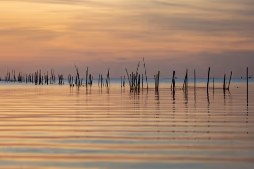 Item #105679162715773690367894814568251153202929894369313826483118647872977811537925 Media