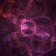 7004581377022425600774958554993697400486880668896285891834895904423582629889