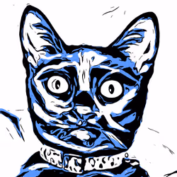 CuteKats Phoebe1 - 5 of 8