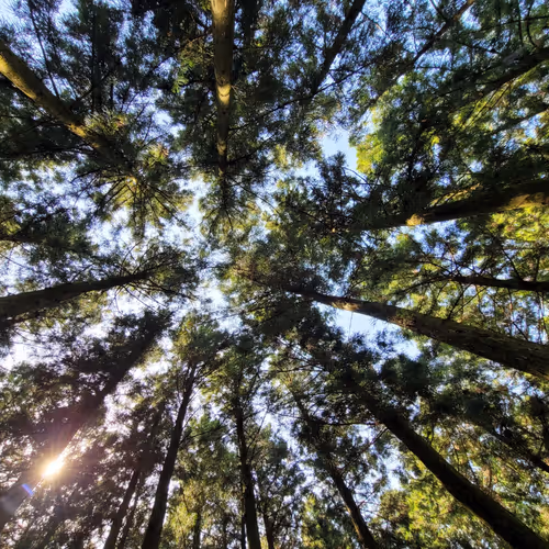 Untitled Collection #33480802