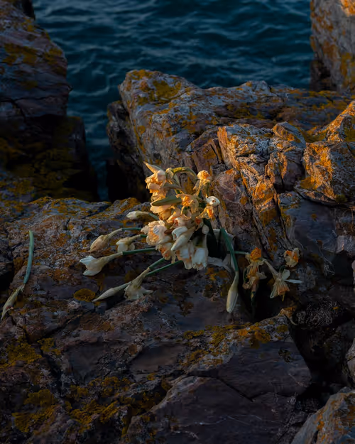 Item #109162157552346088047496633038404394118504199992061596446112929500676571004929 Media