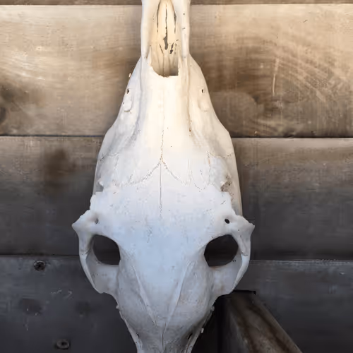 Untitled Collection #177423898