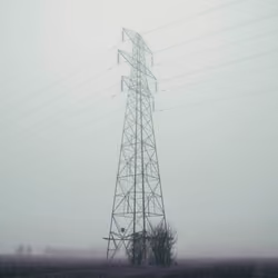The Fog Collection 12