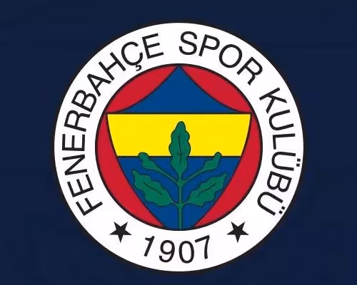 Untitled Collection #26019048