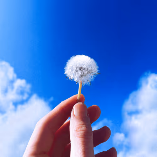 Ethereal Instrumentals