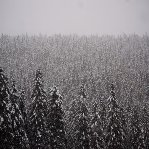 N Ature Ft By Frko