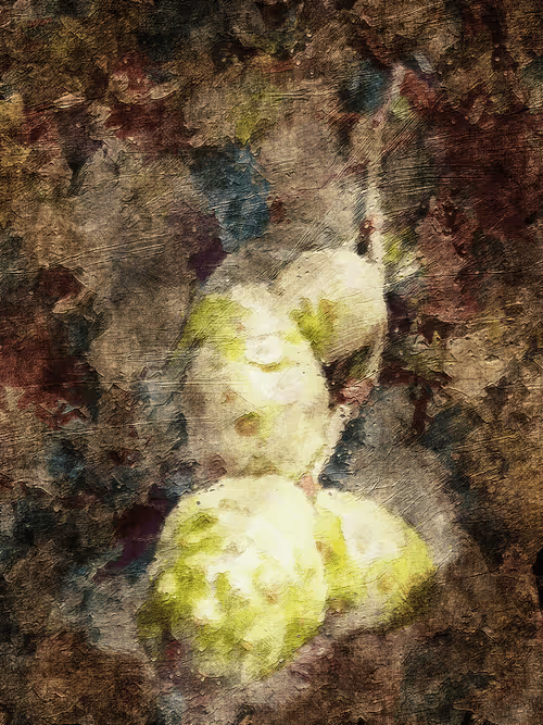 Item #69261177602478584146078213691104273677815526894191982293268528016771558408193 Media