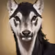 53555760753874959451803950747030429723095360379940614558103689957340254044161
