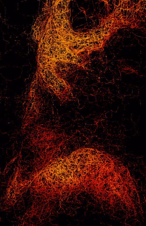 Item #98809468674811488509184540902810319847811654412696207403112479914227006439425 Media