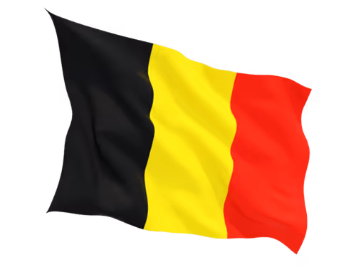 Item #33155605453769707201241815518247368024015892082113438535382170325499173142529 Media