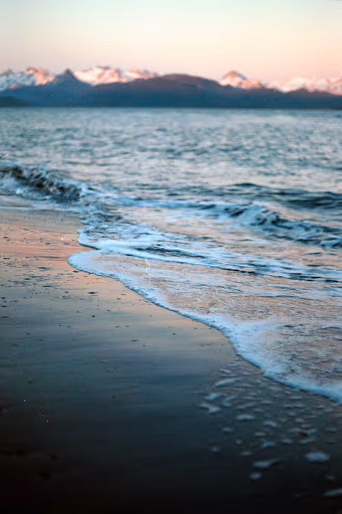 Item #86204936525623062478772312076709802278598486618652010465124009076811563532289 Media