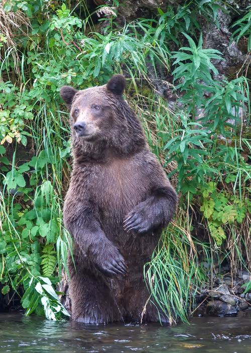 Item #19207338348144225692080396183640865546201068415206893468727031811283443777537 Media