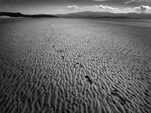 Item #40160686583094733528677484039903516258611509642019211679321071748640770359297 Media