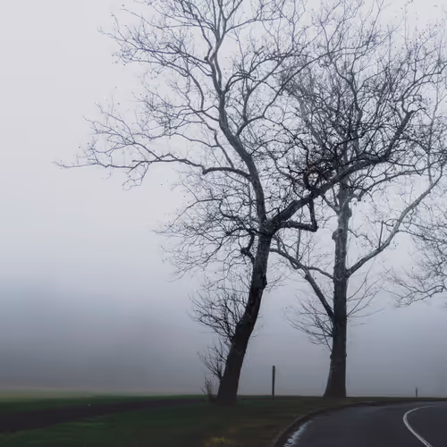 Echoes Of Solitude