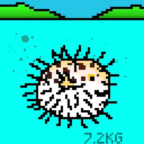 BitFish #6