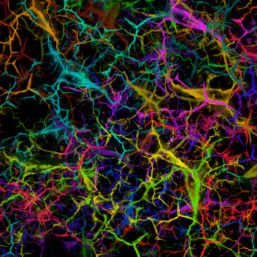 Item #50918555062582210159273167721725581522404743190091886750106034882793609101313 Media