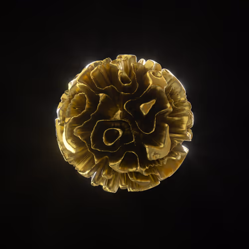 Item #83535453821146316306178013320250520096293247508023240542449518718719310692353 Media