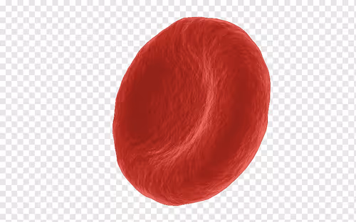 Item #35060806673960165952798302781478950121427879355407439423817986305924546953217 Media