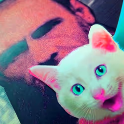 4747115153065902387790593868107453782499677024781155622119190037880427773953