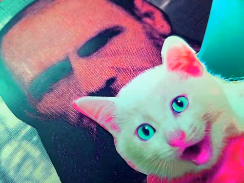 Item #4747115153065902387790593868107453782499677024781155622119190037880427773953 Media