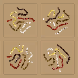 107937117699900001194099939943306584939867407144504846123696048322376990982145