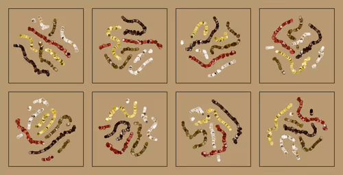 Item #107937117699900001194099939943306584939867407144504846123696048322376990982145 Media