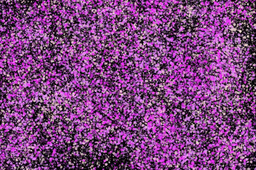 Item #944858660688572096584618472555991747686703840338442188877309758890175365121 Media