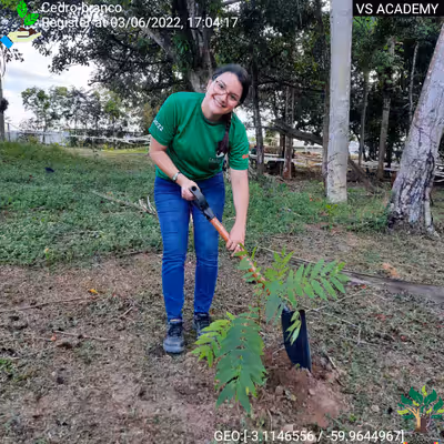 Item #8500196597889277390194123329501889087166328879864934763448348788531941867521 Media