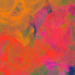 #14 Polychrome