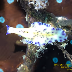 80965803268169370603932631570667161375508893671094224909166964050146621390849