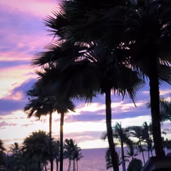 Purple light and the sea