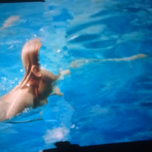 Item #91010488657024650671026588835640711924529610810385700914735352733560477843457 Media