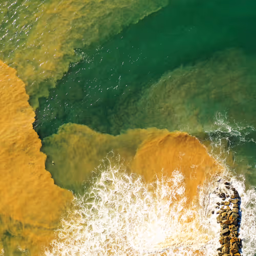 darksunset Collection